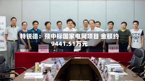 特锐德：预中标国家电网项目 金额约9441.51万元-第1张图片