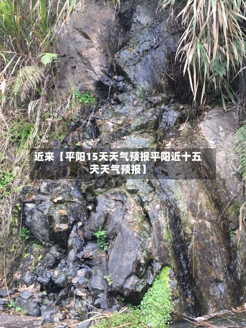 近来【平阳15天天气预报平阳近十五天天气预报】-第1张图片
