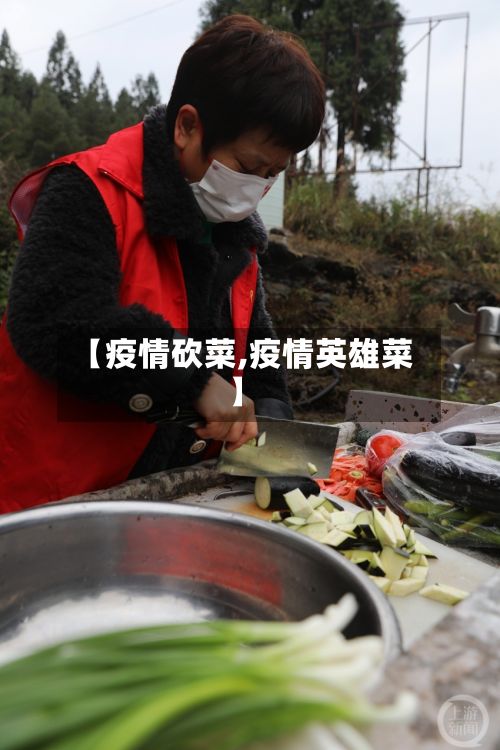 【疫情砍菜,疫情英雄菜】-第1张图片