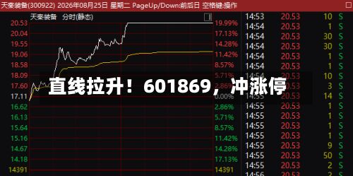 直线拉升！601869，冲涨停-第1张图片