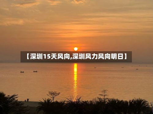 【深圳15天风向,深圳风力风向明日】-第1张图片