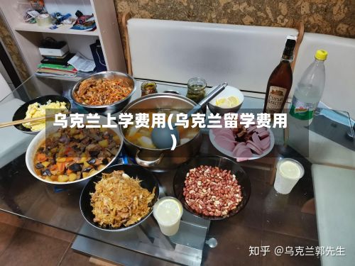 乌克兰上学费用(乌克兰留学费用)-第1张图片