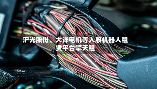 沪光股份、大洋电机等入股机器人租赁平台擎天租-第1张图片