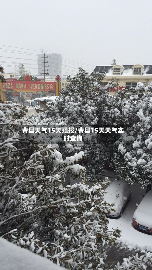 曹县天气15天预报/曹县15天天气实时查询-第1张图片
