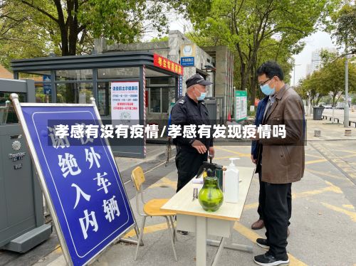 孝感有没有疫情/孝感有发现疫情吗-第1张图片