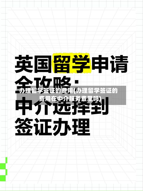 办理留学签证的费用(办理留学签证的费用在中介服务费里吗)-第1张图片