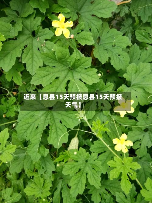 近来【息县15天预报息县15天预报天气】-第1张图片