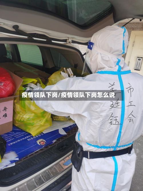 疫情领队下岗/疫情领队下岗怎么说-第1张图片