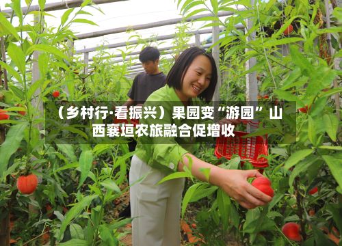 （乡村行·看振兴）果园变“游园” 山西襄垣农旅融合促增收-第1张图片