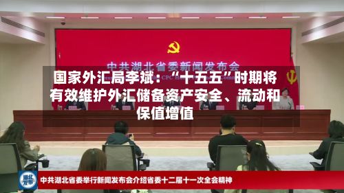 国家外汇局李斌：“十五五	”时期将有效维护外汇储备资产安全	、流动和保值增值-第1张图片