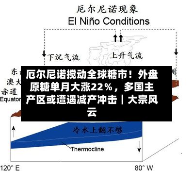 厄尔尼诺搅动全球糖市！外盘原糖单月大涨22％，多国主产区或遭遇减产冲击｜大宗风云-第1张图片