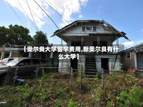 【奥尔良大学留学费用,新奥尔良有什么大学】-第1张图片