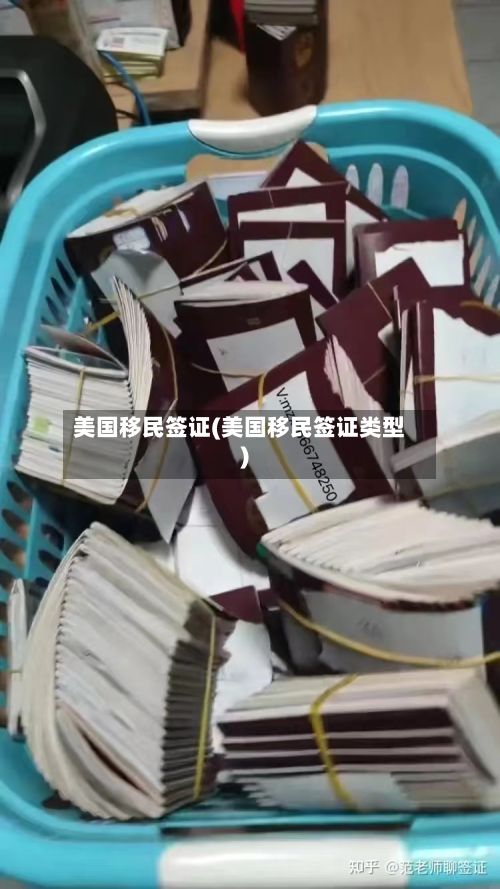 美国移民签证(美国移民签证类型)-第1张图片