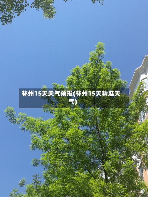 林州15天天气预报(林州15天精准天气)-第1张图片