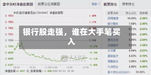 银行股走强，谁在大手笔买入-第1张图片