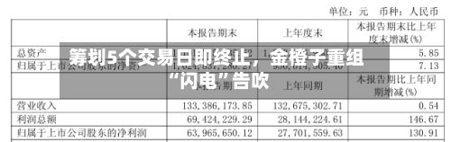 筹划5个交易日即终止	，金橙子重组“闪电”告吹-第1张图片