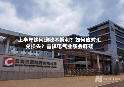 上半年缘何增收不增利？如何应对汇兑损失？雪祺电气业绩会释疑-第1张图片