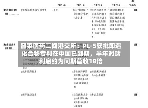 普莱医药二闯港交所：PL-5获批即遇化合物专利在中国已到期，半年对赌利息约为同期营收18倍-第1张图片