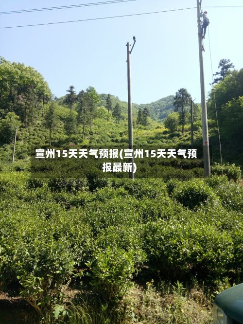 宣州15天天气预报(宣州15天天气预报最新)-第1张图片