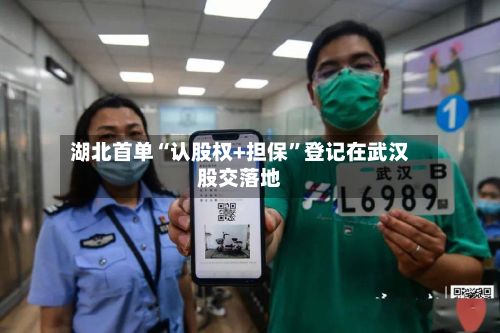 湖北首单“认股权+担保”登记在武汉股交落地-第1张图片