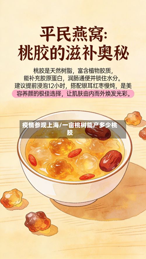 疫情参观上海/一亩桃树能产多少桃胶-第1张图片