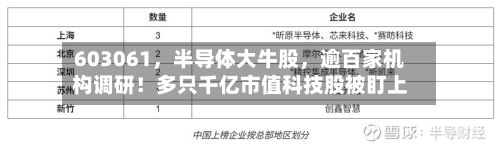 603061，半导体大牛股	，逾百家机构调研！多只千亿市值科技股被盯上-第1张图片