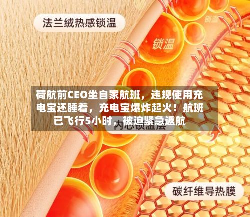 荷航前CEO坐自家航班	，违规使用充电宝还睡着，充电宝爆炸起火！航班已飞行5小时，被迫紧急返航-第1张图片