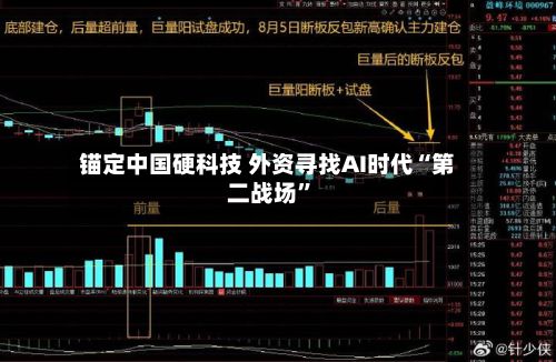 锚定中国硬科技 外资寻找AI时代“第二战场	”-第1张图片