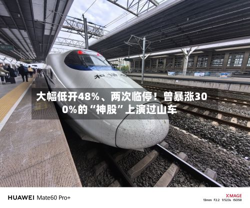 大幅低开48%、两次临停！曾暴涨300%的“神股”上演过山车-第1张图片