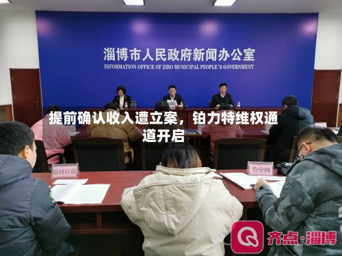 提前确认收入遭立案，铂力特维权通道开启-第1张图片