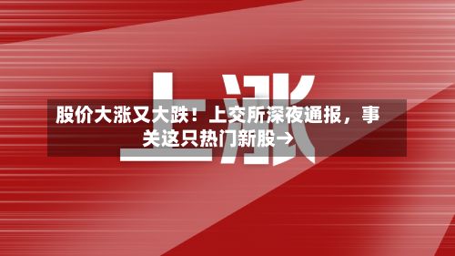 股价大涨又大跌！上交所深夜通报	，事关这只热门新股→-第1张图片