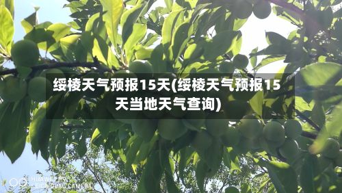 绥棱天气预报15天(绥棱天气预报15天当地天气查询)-第1张图片