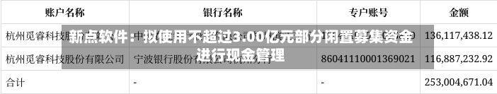 新点软件:拟使用不超过3.00亿元部分闲置募集资金进行现金管理-第1张图片