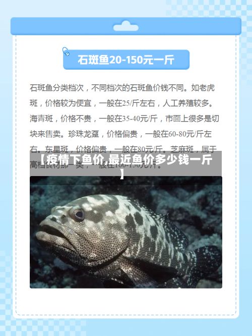 【疫情下鱼价,最近鱼价多少钱一斤】-第1张图片