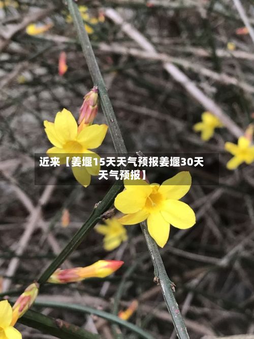 近来【姜堰15天天气预报姜堰30天天气预报】-第1张图片