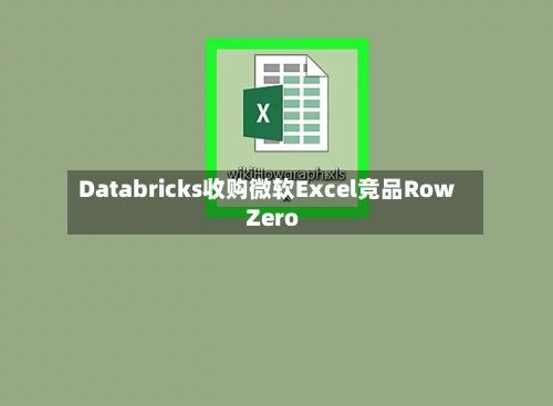 Databricks收购微软Excel竞品Row Zero-第1张图片