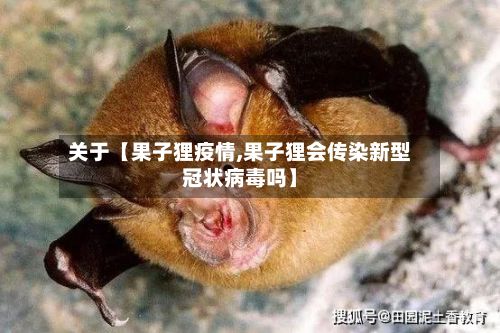 关于【果子狸疫情,果子狸会传染新型冠状病毒吗】-第1张图片