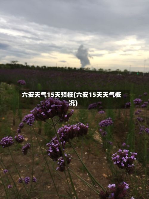 六安天气15天预报(六安15天天气概况)-第1张图片