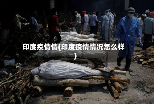 印度疫情情(印度疫情情况怎么样)-第1张图片